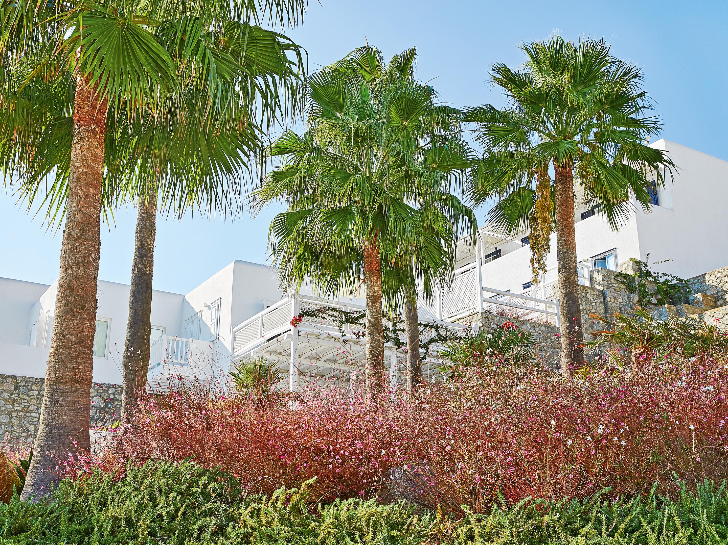 Mykonos Blu, A Grecotel Resort To Live Psarou  Exterior foto